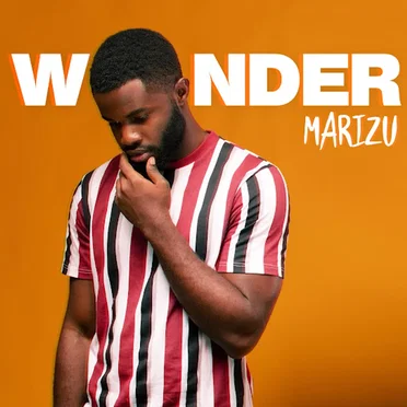 Wonder by Marizu - album cover