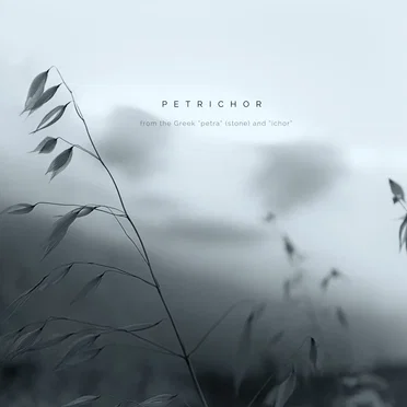 Petrichor by Meridian Koi - album cover