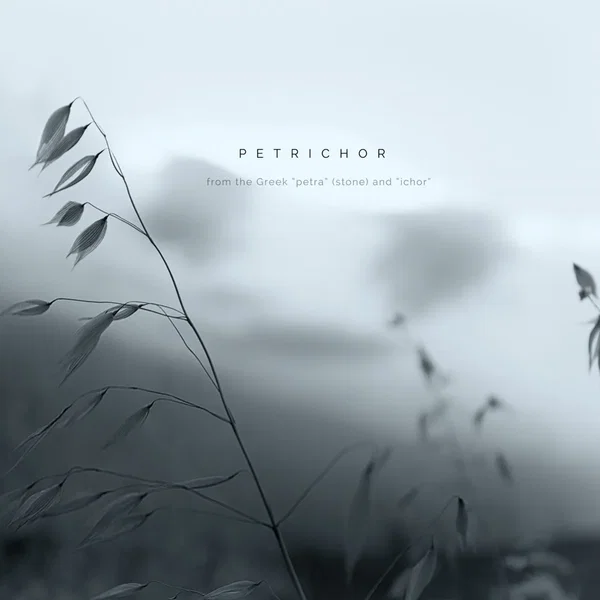 Petrichor