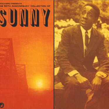 The 50th Anniversary Collection of Sunny by Various Artists - album cover