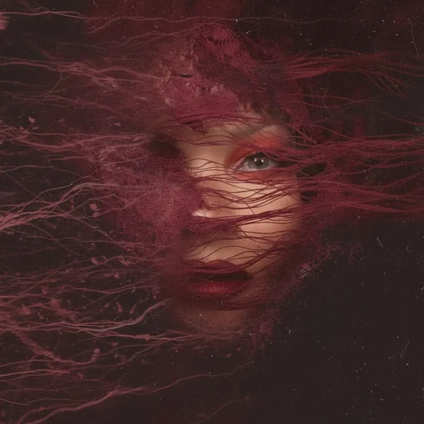 Fell Into a Dream
