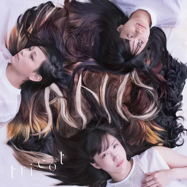 A N D by tricot - album cover