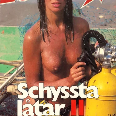 Lektyr: Schyssta låtar 11 by Various Artists - album cover
