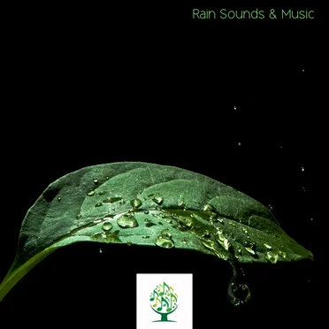 Rain Sounds & Music by Mother Nature Sound FX - album cover