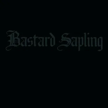 V: A Sepulcher to Swallow the Sea by Bastard Sapling - album cover
