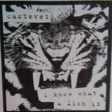 I Know What a Lion Is