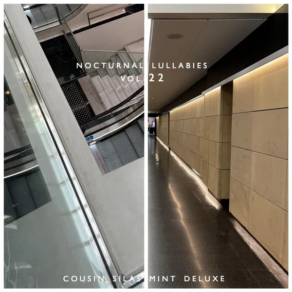 Nocturnal Lullabies, Volume 22