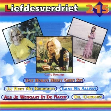 Liefdesverdriet by Various Artists - album cover