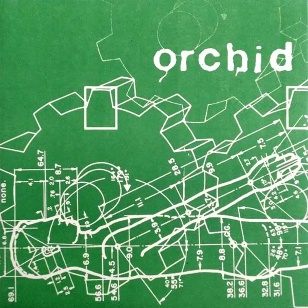 Orchid