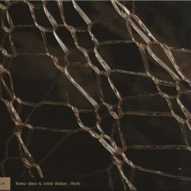 Mesh