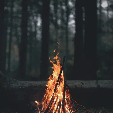 Fire In Depth of Silence