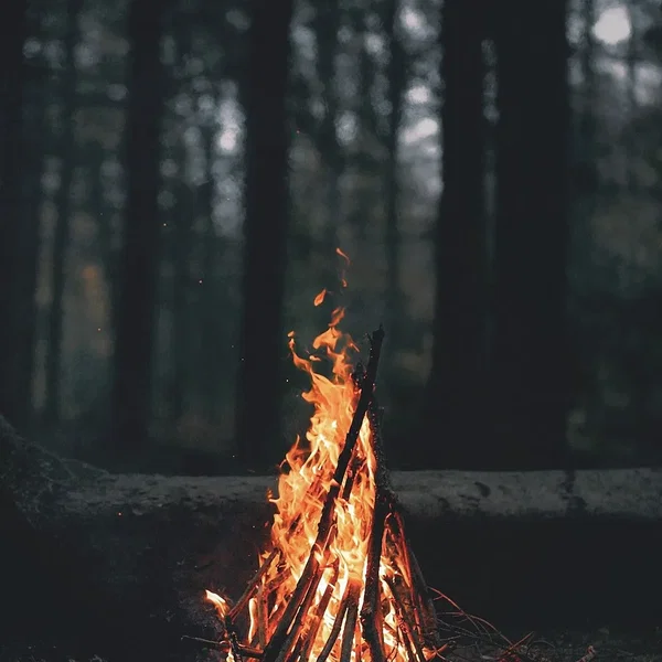 Fire In Depth of Silence