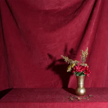 Anemone Red by Hour - album cover