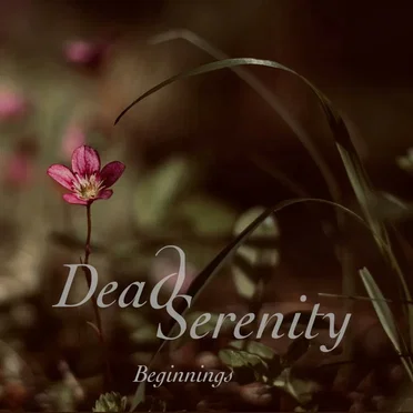Beginnings