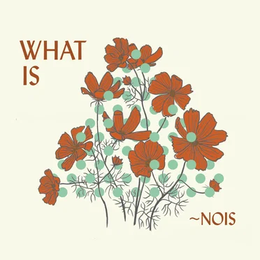 What is ~Nois by ~Nois - album cover