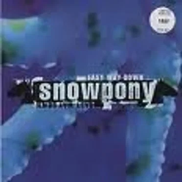 Easy Way Down by Snowpony - album cover