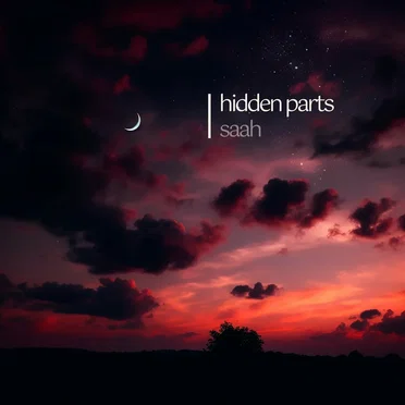 hidden parts by Saah - album cover