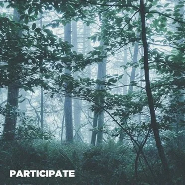 Participate by 47stillstanding - album cover