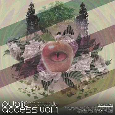 Public Access Vol. 1 by Various Artists - album cover