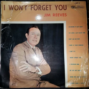 I Won’t Forget You