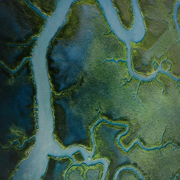 36 Currents, one Tide