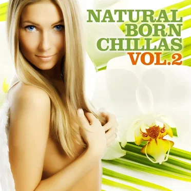 Natural Born Chillas, Volume 2: The Ultimate Lounge & Chill Out Experience by Various Artists - album cover