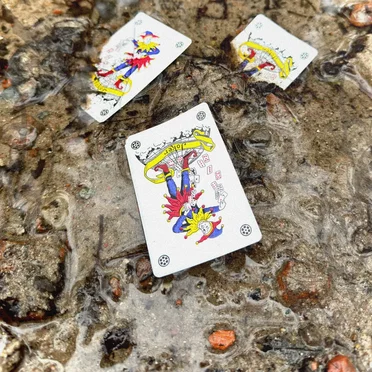 Joker Card by Shayd - album cover