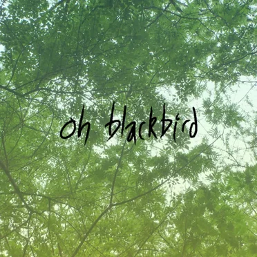 oh blackbird by bitbeak - album cover