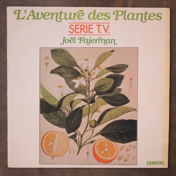 L'Aventure des plantes