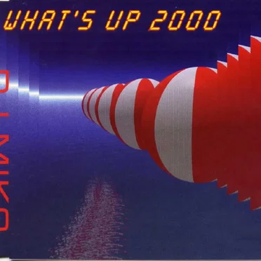 What's Up 2000