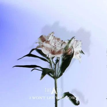I won't let you down (岸本賢一 ver.)