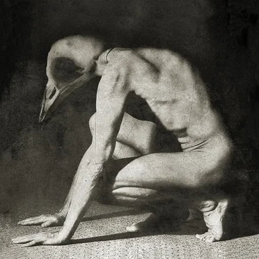 Hollowed by Helium Horse Fly - album cover