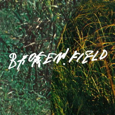 broken.field by chambry - album cover