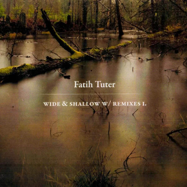 Wide & Shallow With Remixes I.