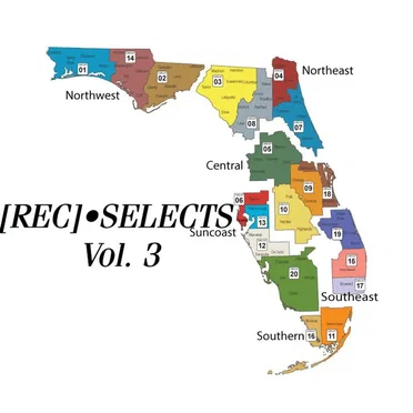 [REC]•SELECTS, Vol. 3 by DMT-FL Presents - album cover