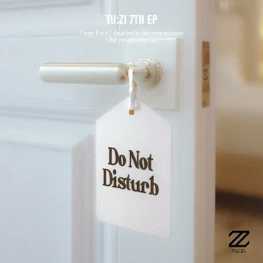 Do Not Disturb by 2Z - album cover