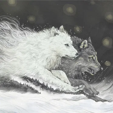 Snowflakes V by Various Artists - album cover