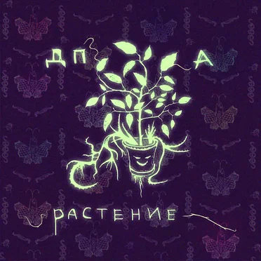 Растение by Дом Прекрасных Аустов - album cover