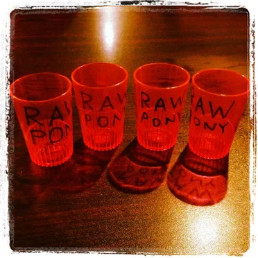 Scratch Demos by Raw Pony - album cover