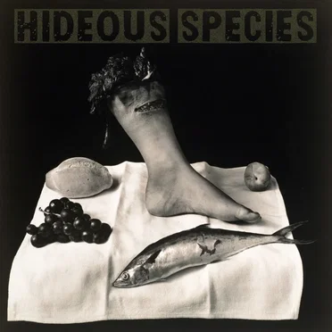 Hideous Species by Hideous Species - album cover