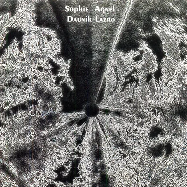 Marguerite d'Or Pâle