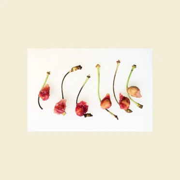 Dull Tracks by LOVE SPORT - album cover