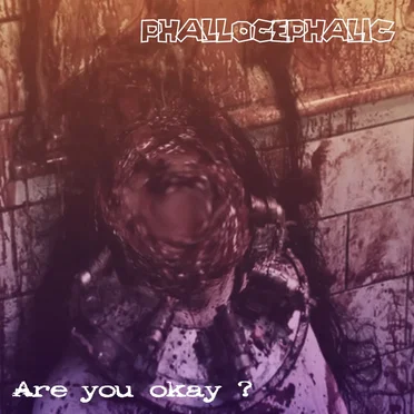 Are You Okay? by Phallocephalic - album cover