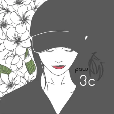 3C