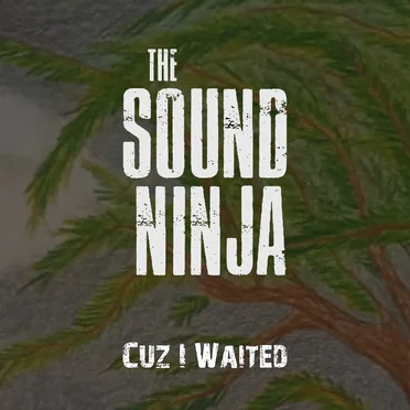 Cuz I Waited by The Sound Ninja - album cover