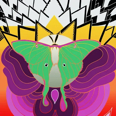 Cut Your Face by The Joy Formidable - album cover