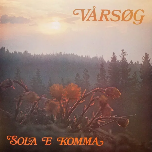 Sola e komma