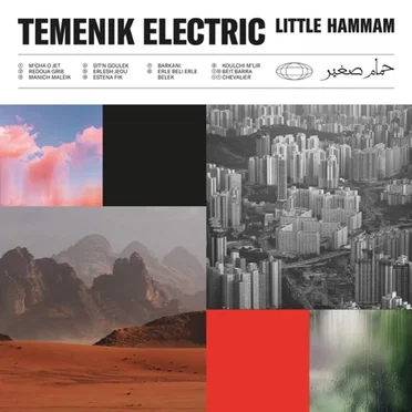 Temenik Electric