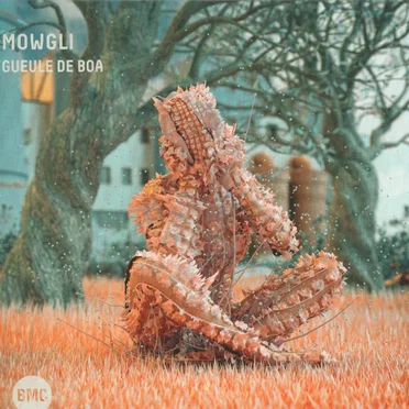 Gueule De Boa by Mowgli - album cover