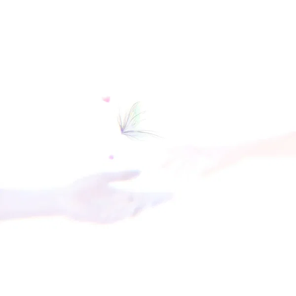 tranquil flutter engulf my heart